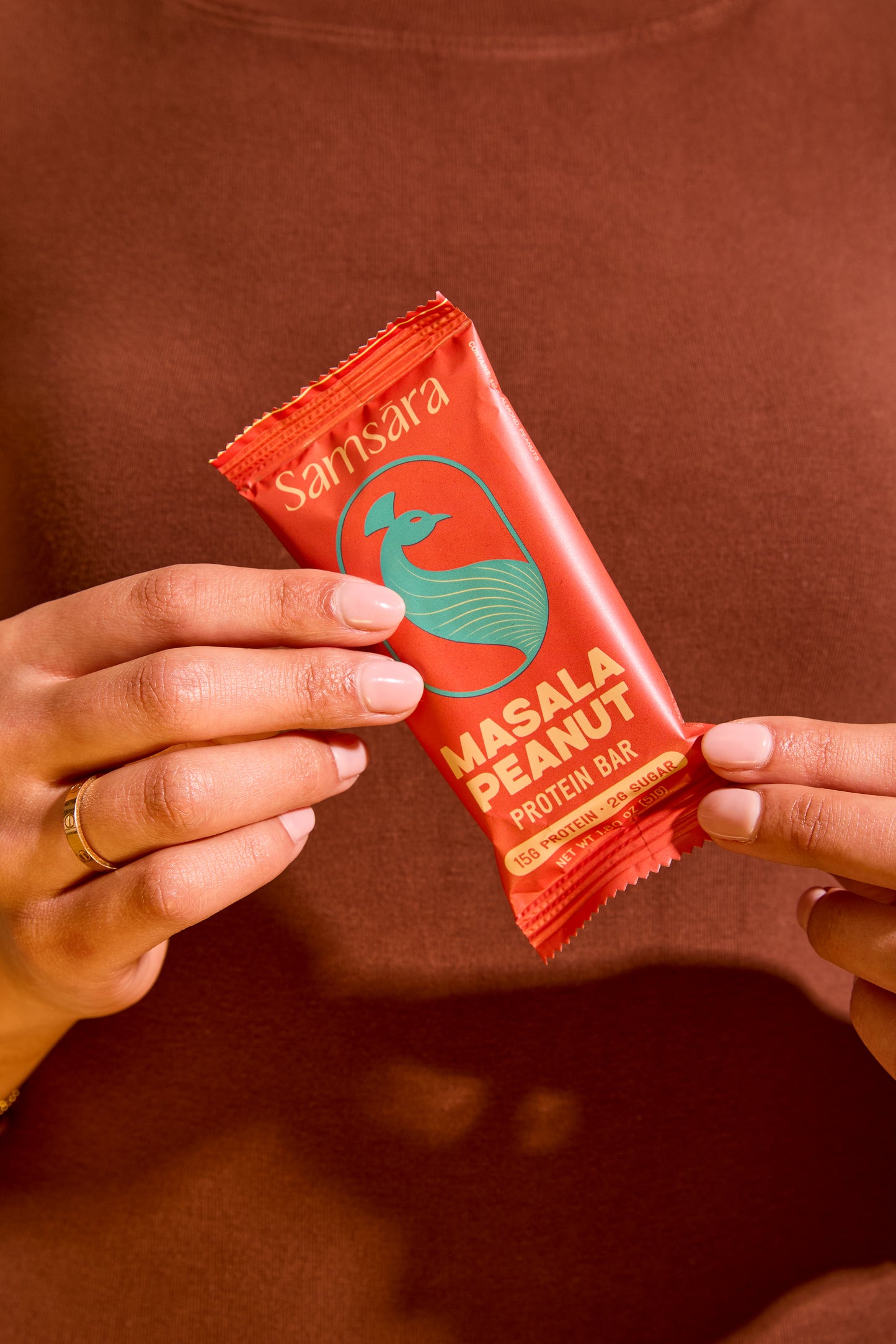 Masala Peanut Savory Protein Bar (12 pack)