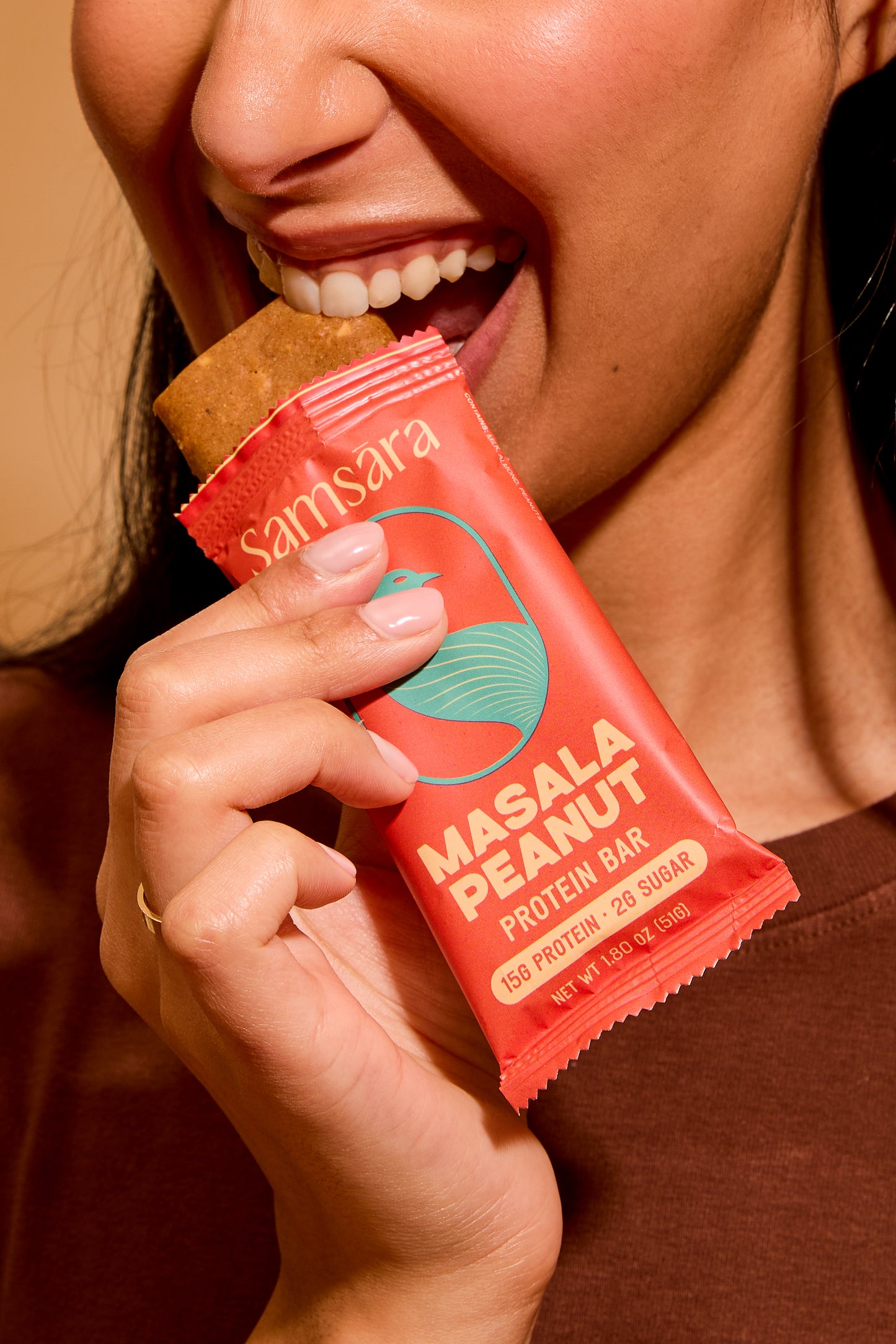 Masala Peanut Savory Protein Bar (12 pack)